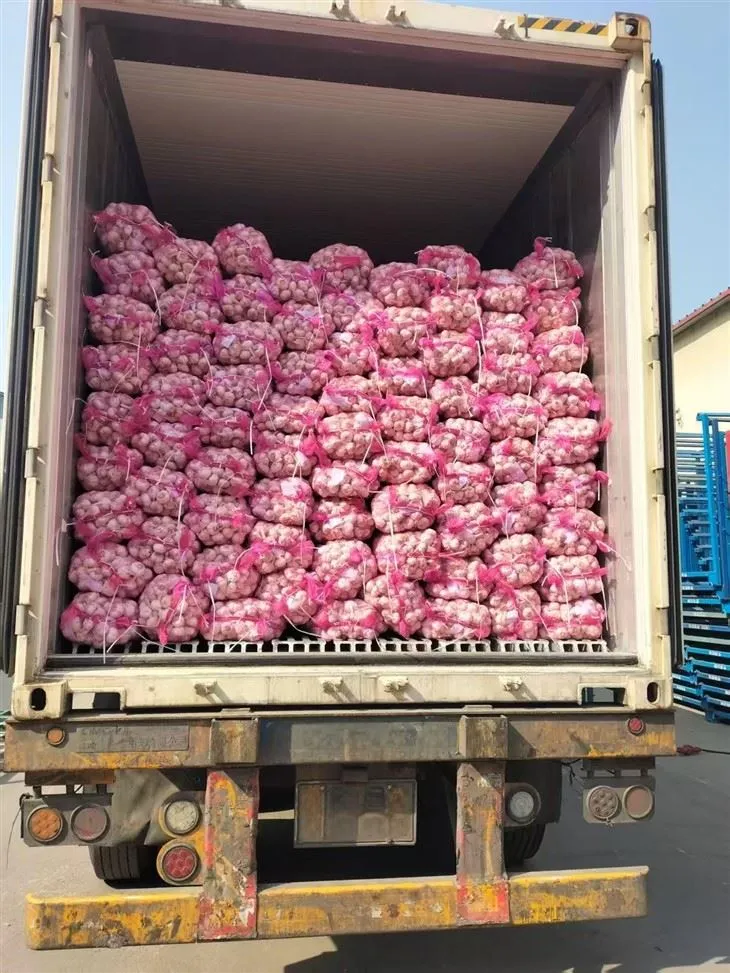 Lijepa miks češnjak