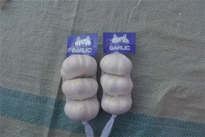 Svježi sirovi češnjak